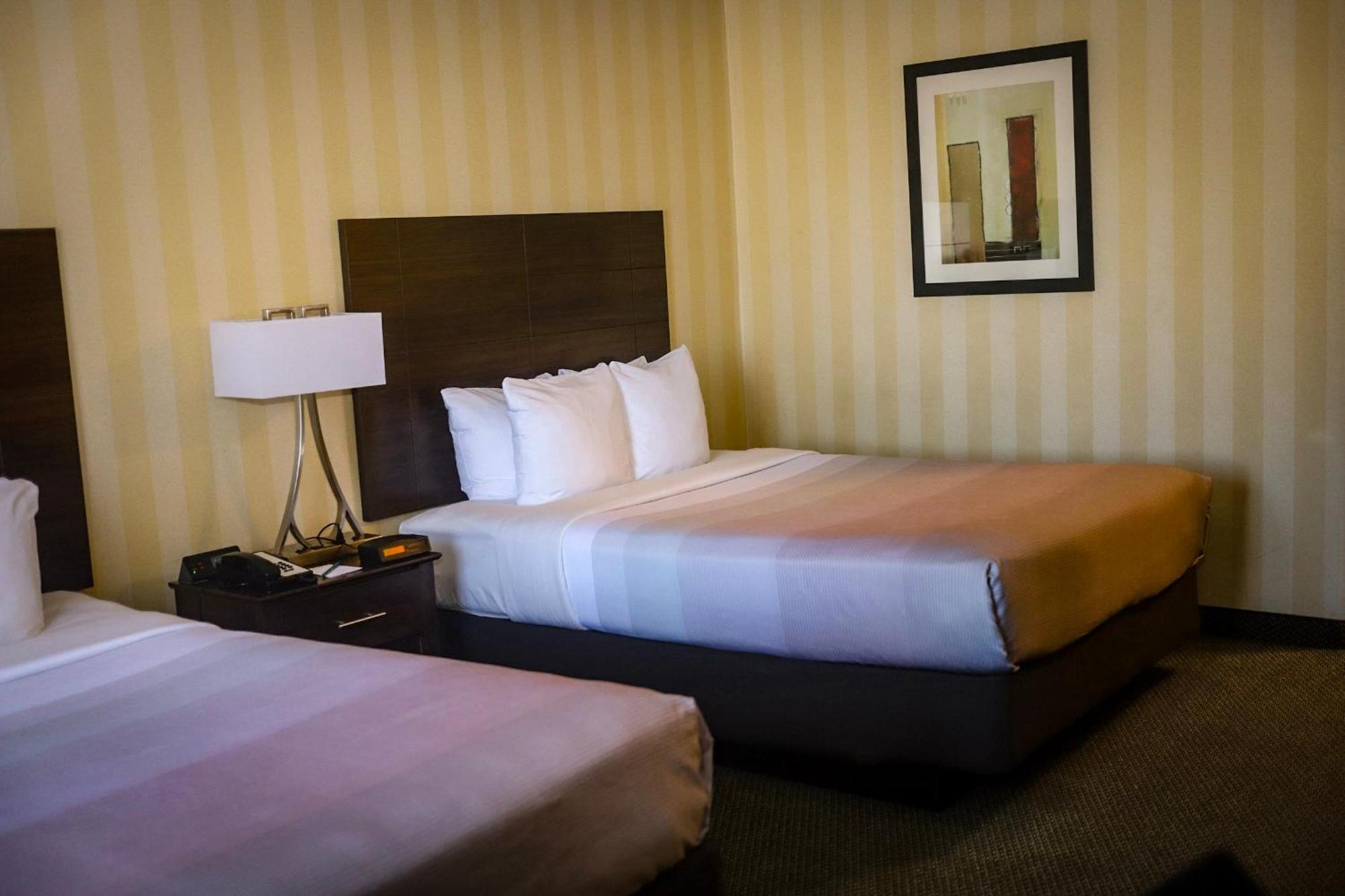 קולורדו ספרינגס Quality Inn Airport מראה חיצוני תמונה